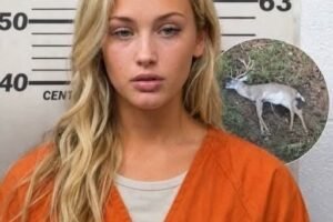 Police Arrest Suspect in Unusual Wildlife Case in U.S. Woodland Region