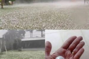 Powerful Storm Brings Large Hail, Residents Assess Aftermath