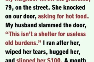 THE NIGHT THE DOOR CLOSED