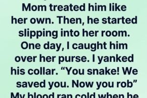 The Money Hidden in the House