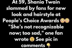 Shania Twain catches heat for blonde look at awards show