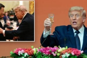 Trump, Xi Meet In Beijing, Agree On Key Issues Regarding U.S., China
