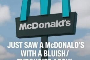 FORBIDDEN MCDONALDS ARCHES Why One Secret Arizona Location Swapped Gold For Turquoise