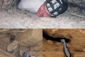 He Got Stuck in a Hole Barely Bigger Than His Body, What Happened Inside That Space Will Stay With You