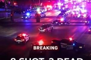 A deadly shooting erupted in the parking lot of…See more 👇