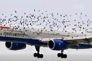 Why One Pilot Became Emotional After Bringing Everyone Home Safely