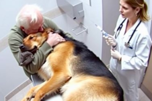 The dog gave his master one last hug before being put to sleep, and all