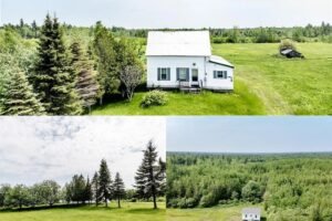 Spacious Kentucky Property Offers 25 Acres of Opportunity and Scenic Views