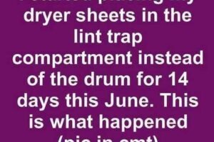 I Put Dryer Sheets