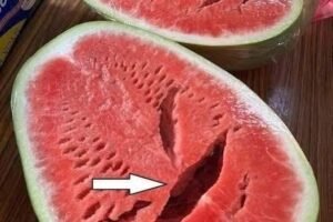 You Cut Open a Watermelon and Saw Cracks? Stop Eating It Immediately! Here’s What It Really Means