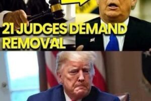 Public Reacts as Judges Break Silence in Political Warning