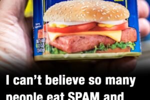 SPAM: What does it stand for, and what are its ingredients?