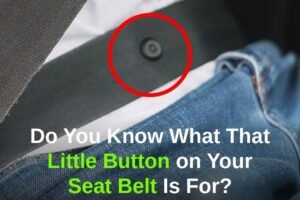 Do You Know What That Little Button on Your Seat Belt Is For?