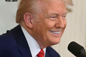 Trump’s Endorsements Lead To Impressive String of GOP Primary Wins