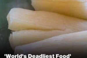 Silent Killer On Your Plate