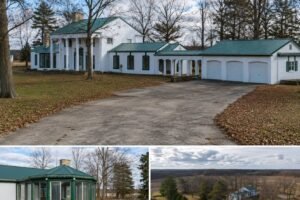 Online Auction Opens for 31-Acre Farmstead in Nebraska, Sparking Buyer Interest