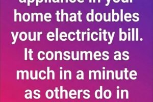 Which Household Appliance Consumes the Most Energy?