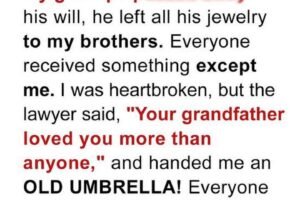 Greedy Brothers Mock Sister’s Inheritance — Then She Opens the Old Umbrella