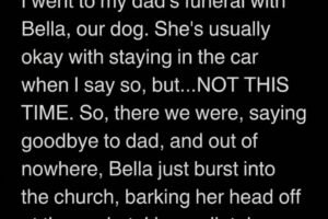 The Casket Mystery