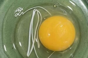 This morning, I woke up and decided to make fried eggs.