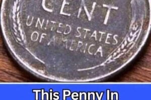 Here’s How To Spot It – This Penny In Circulation is Worth ,000