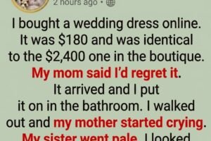 The 0 Wedding Dress That Proved Everyone Wrong..