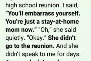 I HUMILIATED MY WIFE OVER HER HIGH SCHOOL REUNION — THEN A SINGLE PACKAGE MADE ME SEE HER ENTIRE LIFE DIFFERENTLY