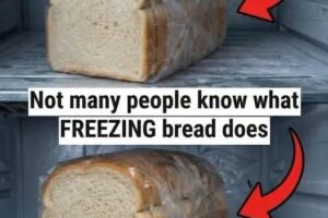 A Practical Guide to Freezing Bread the Right Way