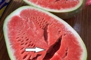 You Cut Open a Watermelon and Saw Cracks? Stop Eating It Immediately! Here’s What It Really Means