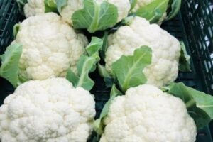 Doctors Reveals That Eating Cauliflower Causes …