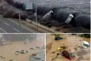 A Massive 82 Magnitude Earthquake Strikes The Alaskan Coastline Triggering Emergency Sirens And Sudden Coastal Evacuation Orders As The Pacific Prepares For Destruction