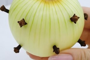 The Secret Ingredient: Why My Grandmother Always Stuck Cloves into an Onion