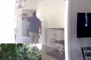 Girl Escapes Mother’s Boyfriend And