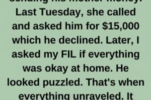 The Mother-in-Law’s Hidden Double Life..