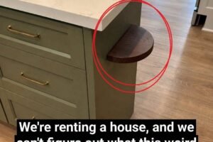 What Is a Kitchen Island Shelf Used For?