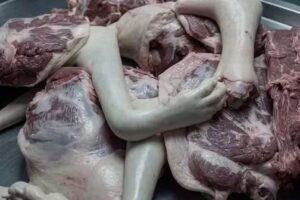 The Meat You’re Buying at the Supermarket Is Lying to You: The Hidden Additives Secretly Changing Your Food