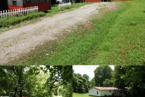 Manufactured Home with 63 Acres in Cairo, West Virginia
