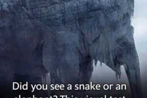 THE FIRST ANIMAL YOU SEE COULD REVEAL A SHOCKING TRUTH ABOUT HOW YOU THINK