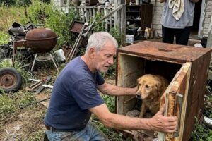 How Saving A Dog From A Foreclosed House Taught Me To Heal AgainTaught Me To Heal Again