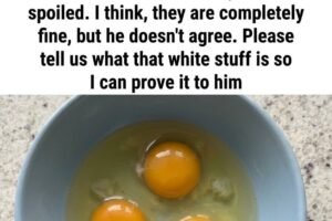 That White Strand in Your Egg Isn’t a Flaw — Here’s What It Means