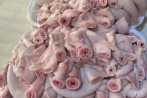 What You Are REALLY Eating, The Shocking Truth About Supermarket Meat They Do Not Want You to Notice