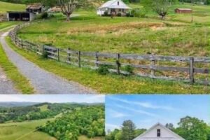 Charming Creekside Mini Farm in Virginia Offers a Peaceful Rural Escape