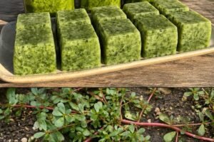 What Happens to Your Body When You Eat Purslane Every Day — Especially After 60