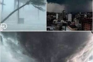 Urgent 3! Extremely dangerous storm just rolled over in B… See more