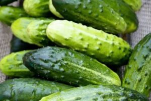 Why Adding Cucumbers to Your Daily Salad Can Benefit Your Health