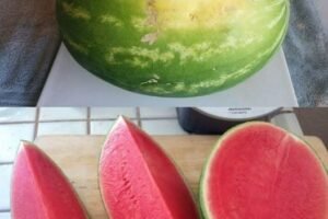 The Smart Shopper’s Guide to Picking the Best Produce