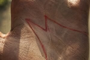 The Hidden Meaning of the “M” on Your Palm: What It Reveals About Life, Love, and Destiny