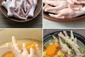 HT6. The Secret Weapon: Why Chicken Feet Are the Miracle Cure Your Body Desperately Needs