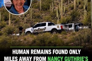 Human Remains Found in Arizona Raise Questions in Missing Person Search