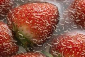 Why Tiny White Larvae Sometimes Appear in Fresh Berries, According to Experts